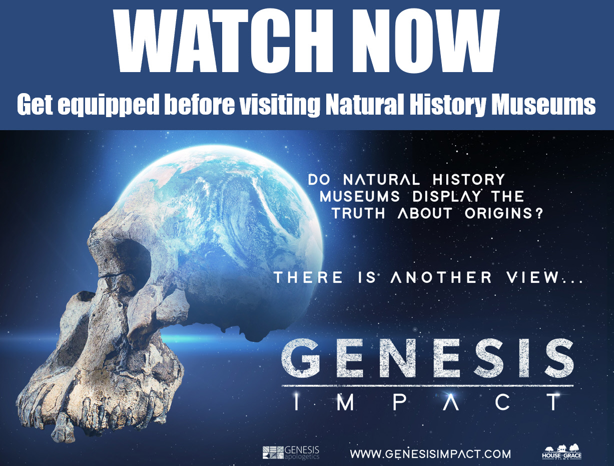 Genesis Impact Movie