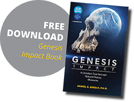 Genesis Impact Book