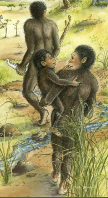 Figure-10.-Lucy-in-Public-School-Textbooks