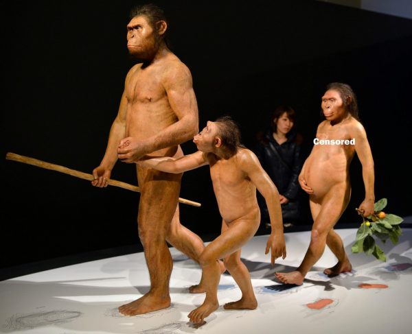 Figure-11.-Hairless-Lucy-Walking-600x487