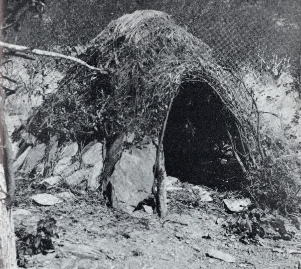 Figure-30.-A-rough-shelter-of-branches-and-grass-with-stones-supporting-the-bases-of-the-branches-600x536