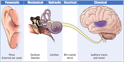 Figure-40.-Five-part-Human-Hearing-System