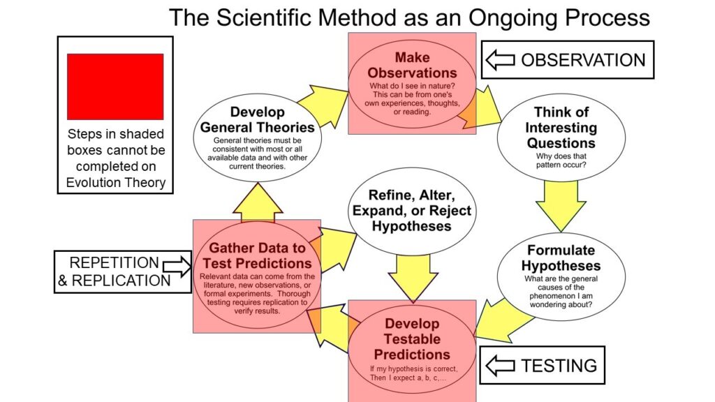 Scientific Method Human Development Science: Does Evolution Theory Hold up to the Rigors of “True Science ...